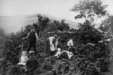 Crofting Família De Corte De Turfa,